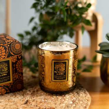 Aloe & Soft Lime Candle