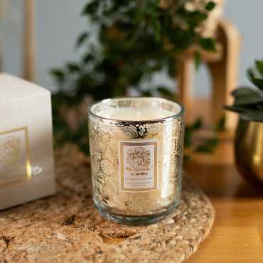 Vela Blooming & Orchid